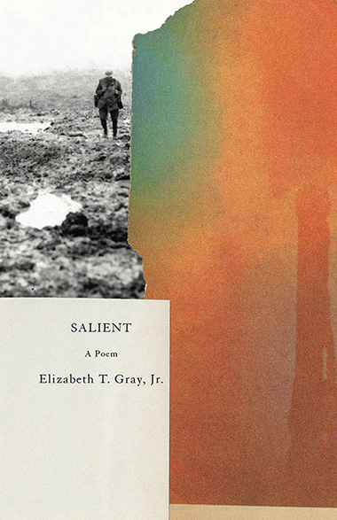 salient book cover